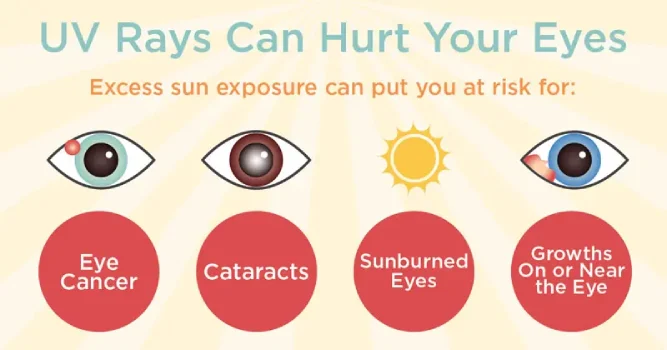 Read more about the article UV Light and Eye Health: How Sun Damage Affects Vision